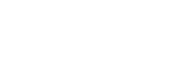 logo-big (1)